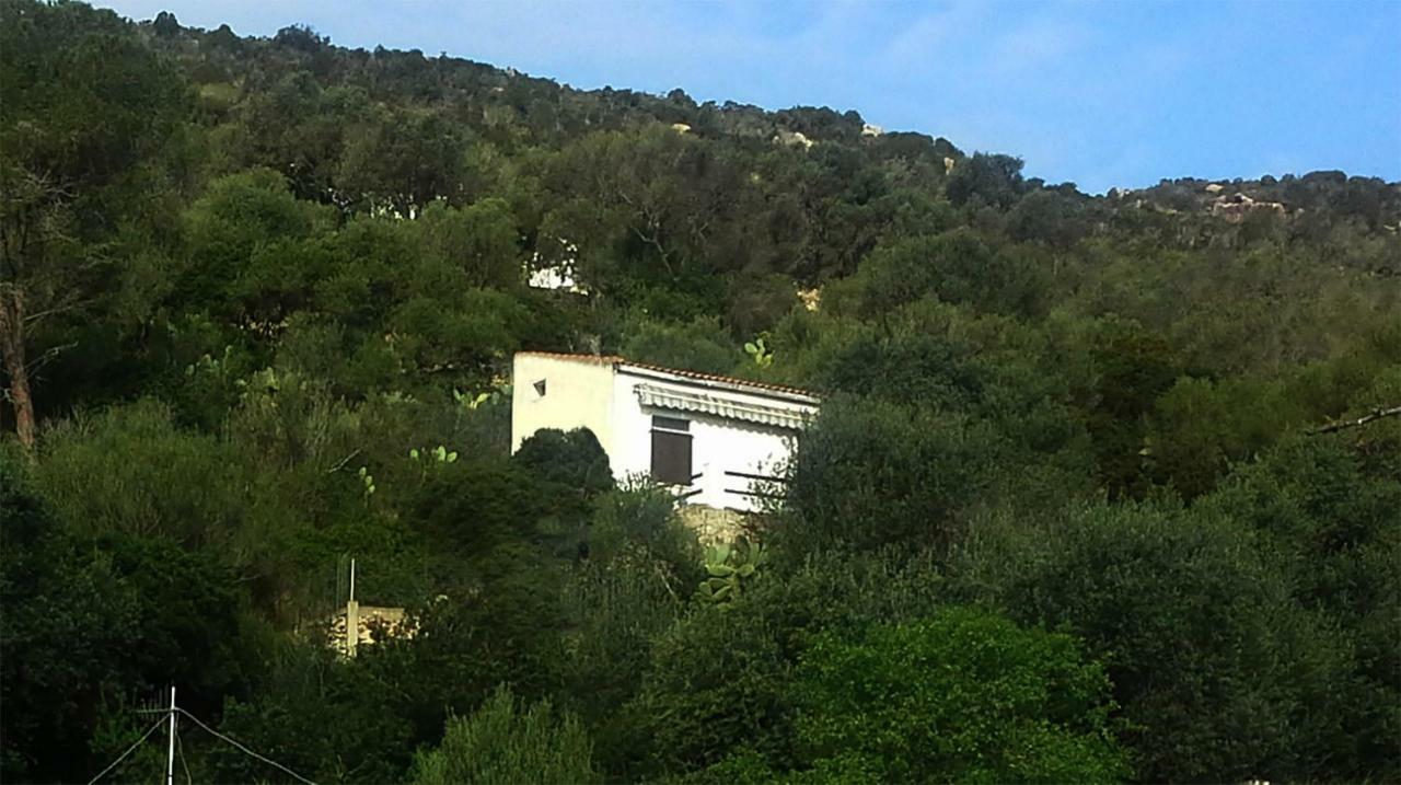 Ca Da Marta Q4526 Villa Carloforte  Eksteriør billede