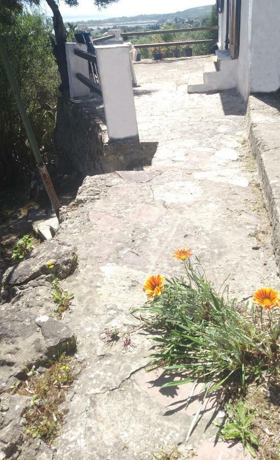 Ca Da Marta Q4526 Villa Carloforte  Eksteriør billede