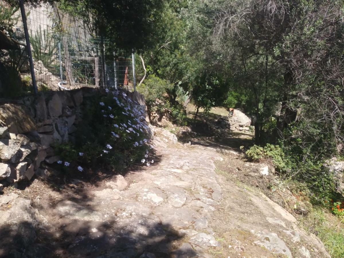 Ca Da Marta Q4526 Villa Carloforte  Eksteriør billede