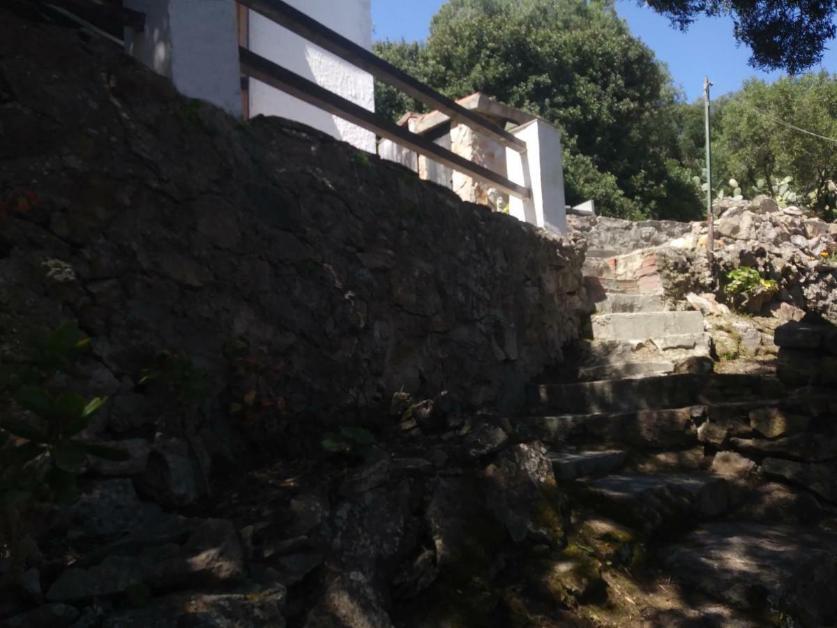 Ca Da Marta Q4526 Villa Carloforte  Eksteriør billede