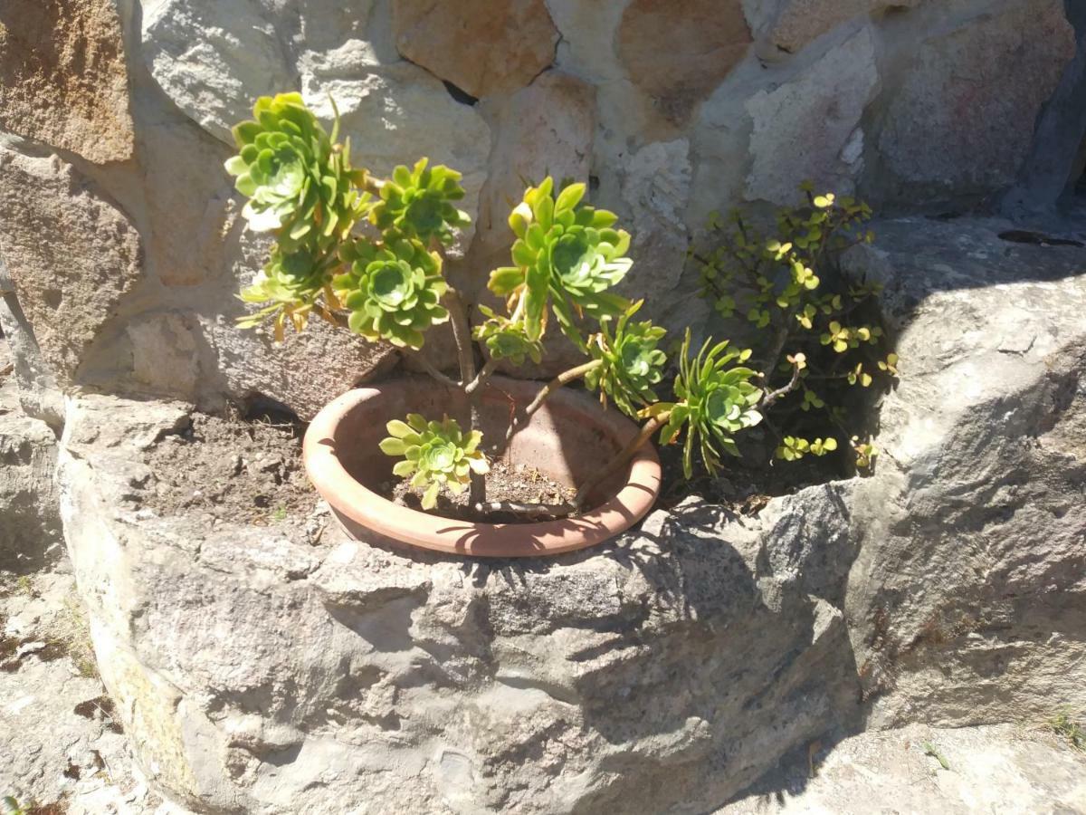 Ca Da Marta Q4526 Villa Carloforte  Eksteriør billede