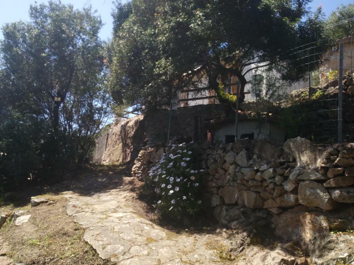 Ca Da Marta Q4526 Villa Carloforte  Eksteriør billede